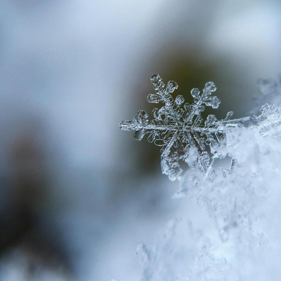Photo by Aaron Burden on Unsplash
Snowflake macro