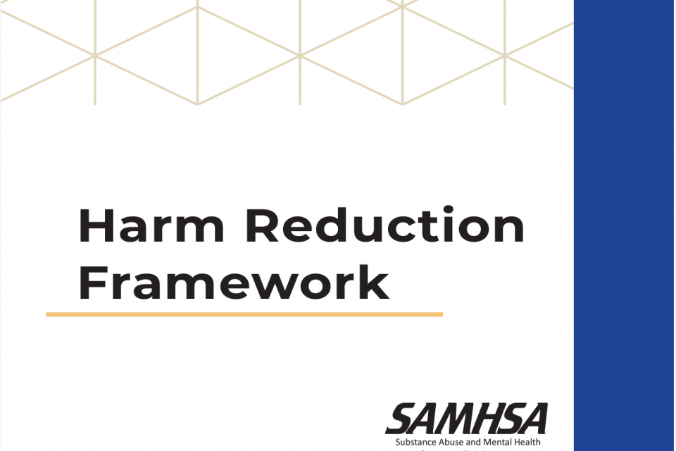 Harm Reduction Framework cover