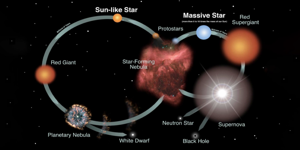 Life cycle of a star graphic