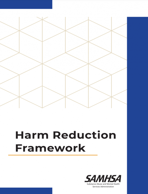 Harm Reduction Framework cover